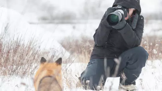 Carrie Wild Photographing a red fox