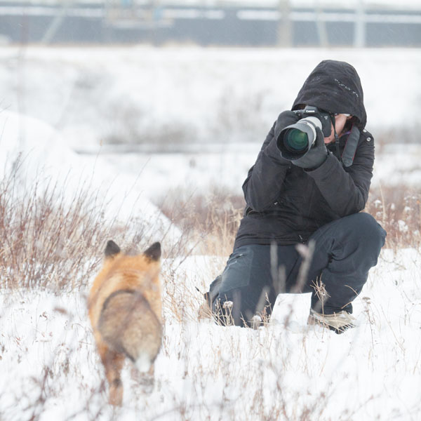 Carrie Wild Photographing a red fox