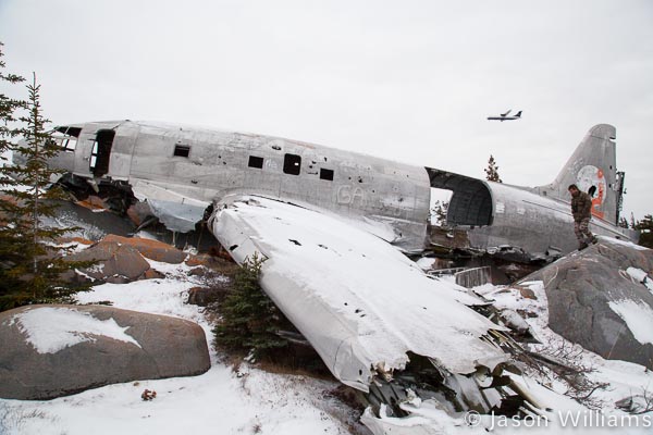 Miss Piggy in Churchill is a good place to see polar bears