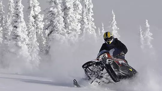 snowmobiling activities in jackson hole winter