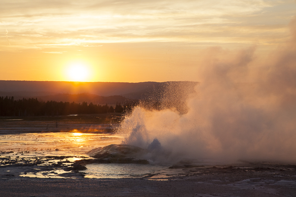 Geyser At Lower Geyser Basin In Yellowstone National Park Erupts At Sunset