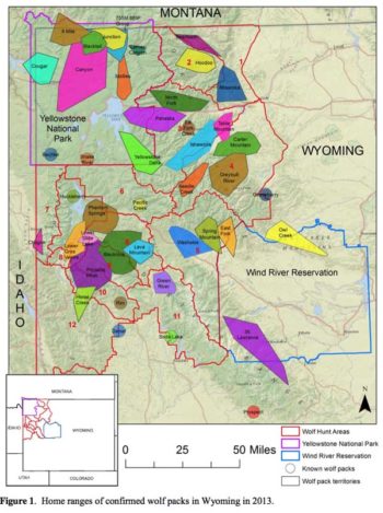 Why Wolf Hunting in Wyoming is Bad for Business | Jackson Hole