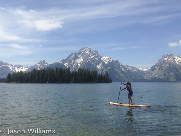 A Paddle Boarder Glides Across Jackson Lake In Front Of The Grand Tetons