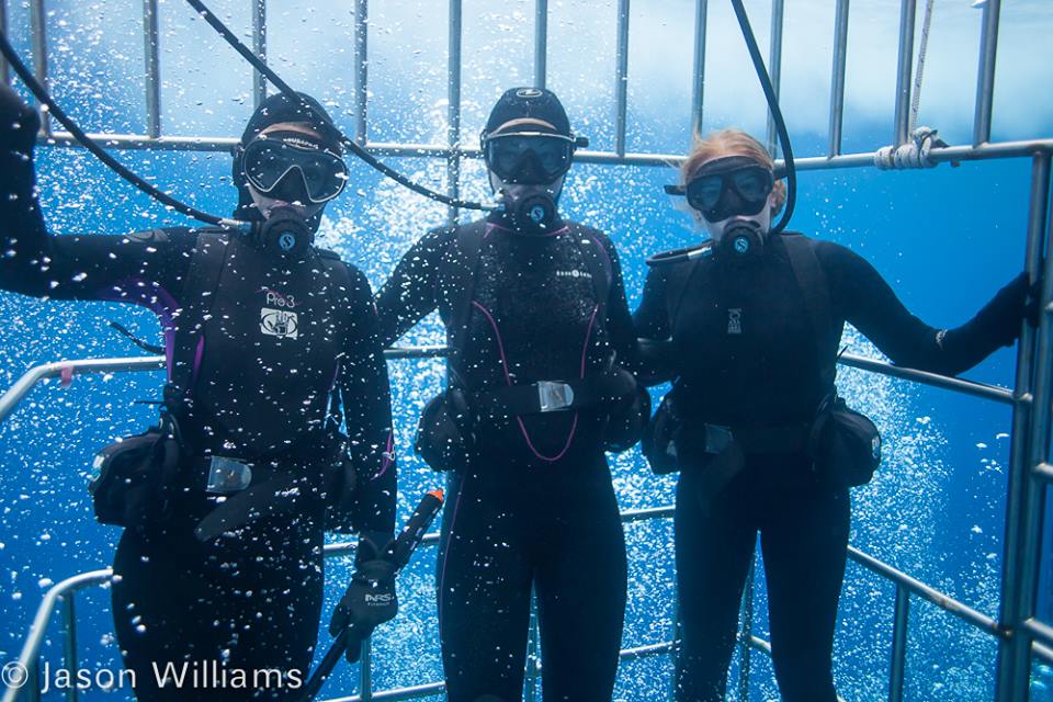 Girl power often attracted the sharks! This crew would dance and bounce around in the cage and the sharks seemed to be interested.......either they were good dancers or looked like seals in distress. Image by Jason Williams