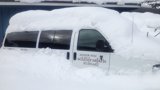 A Jackson Hole Wildlife Safaris Van Sits Buried In The Snow After A Winter Snow Storm