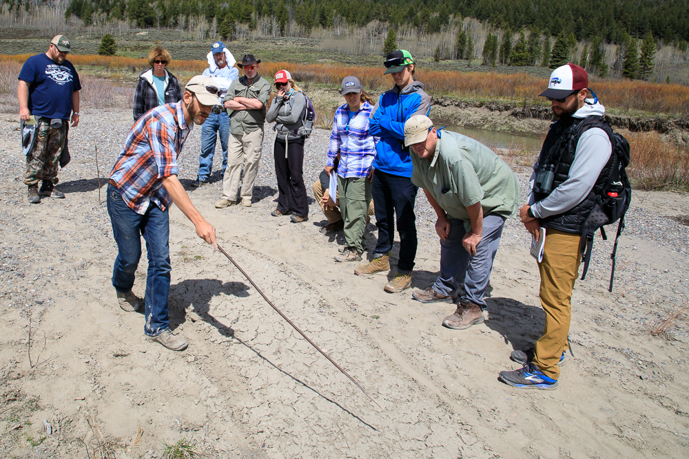 measuring the distance between tracks.