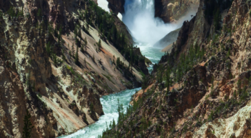 Lower Falls of Yellowstone National Park Flowing Into The Grand Canyon Of Yellowstone
