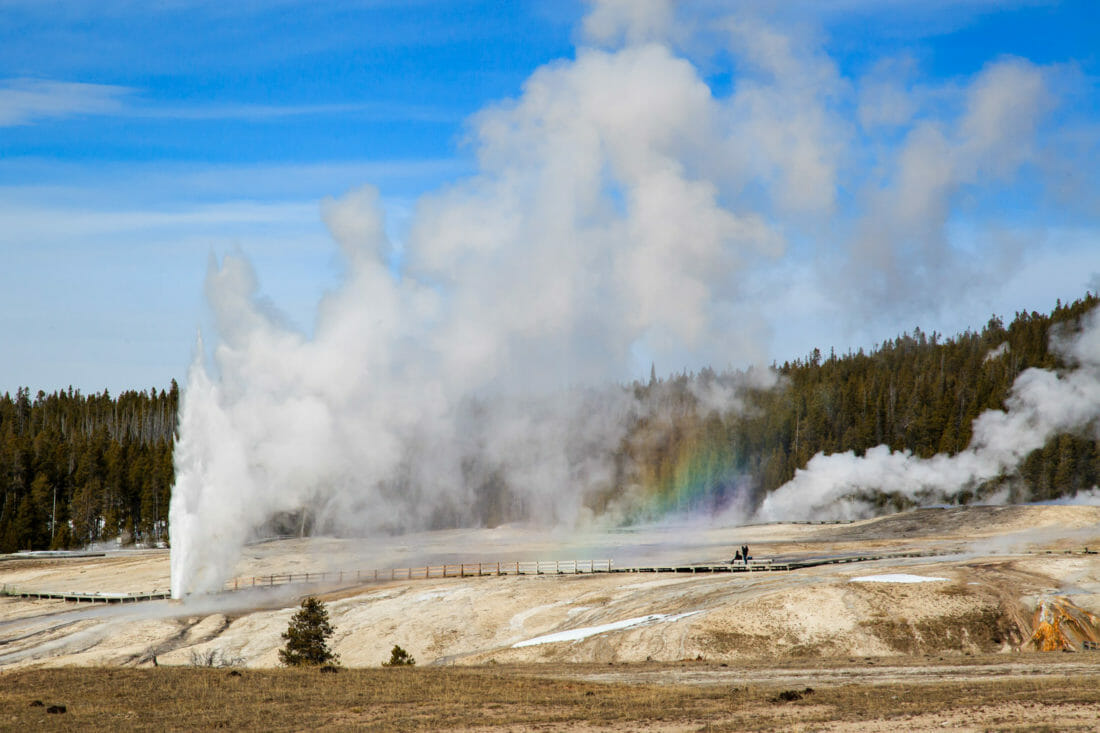 Upper Geyser Basin in Yellowstone National Park.