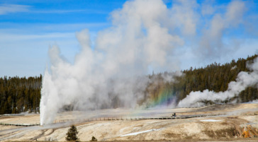 Upper Geyser Basin in Yellowstone National Park.