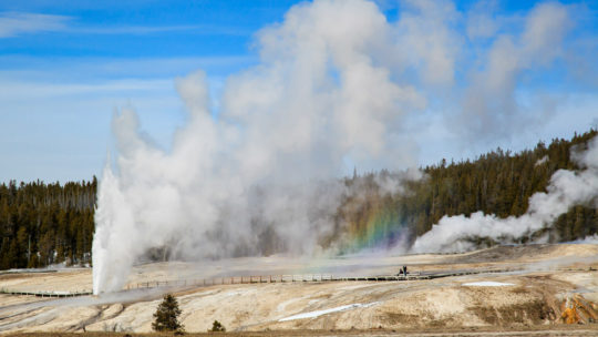 Upper Geyser Basin in Yellowstone National Park.