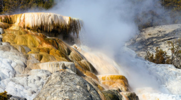 Mammoth Hotsprings in Yellowstone National Park