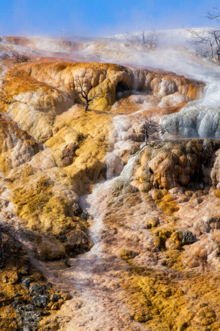 mammoth hot springs in Yellowstone National Park