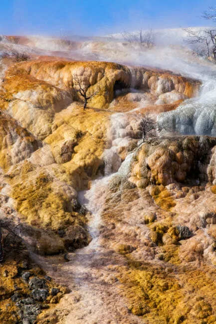 mammoth hot springs in Yellowstone National Park