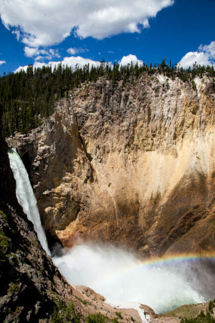 The lower falls of Yellowstone National Park with a rainbow