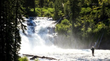 Fishing below Lewis Falls in Yellowstone National Park