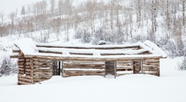 Shane cabin in Grand Teton National Park