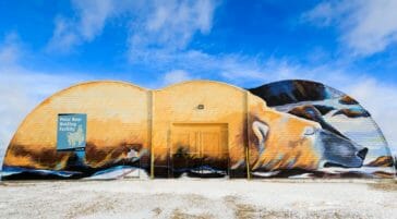 The polar bear jail in Churchill, Manitoba