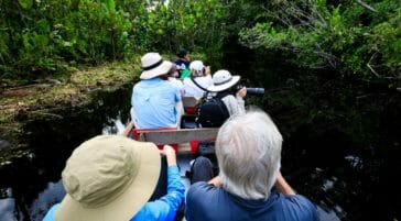 tourists sightseeing in the amazon