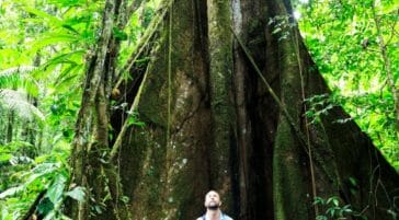 Looking for wildlife in the Amazon Rainforest