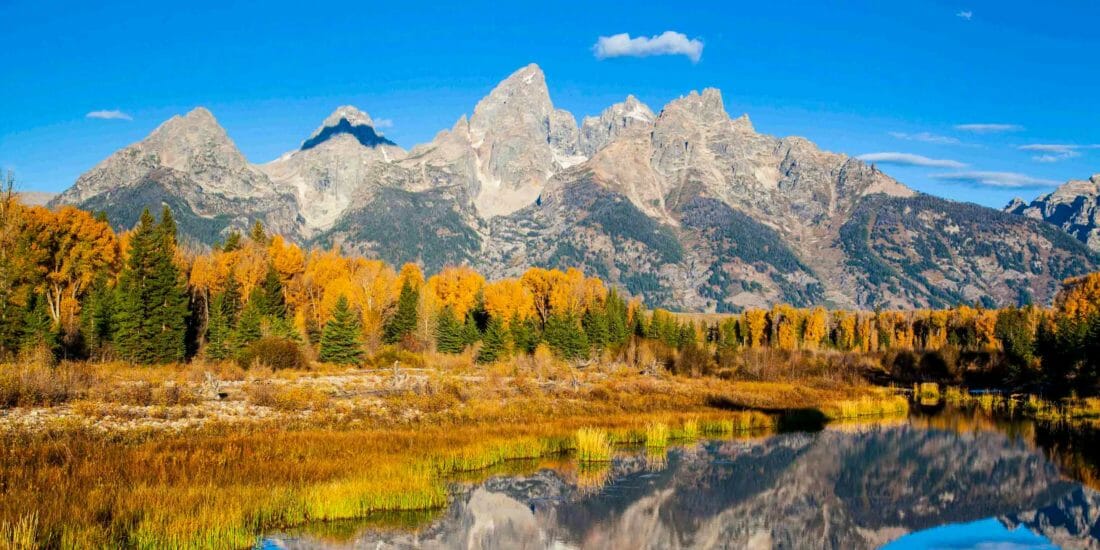 Fall colors along the Snake River with the Teton Range in the background