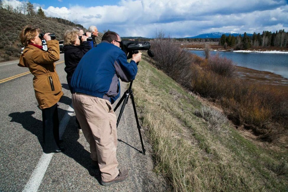 Jackson Hole Wildlife Safari Guests and Guide Searching For Wildlife Using Spotting Scopes And Binoculars In Grand Teton National Park