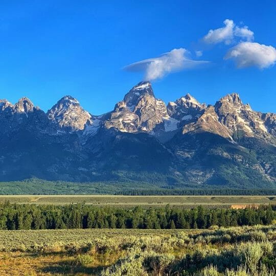 Jackson Hole Wildlife Safaris | Grand Teton & Yellowstone Tours