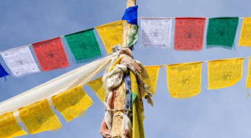 snow leopard expedition