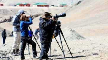 photographers capturing pictures of snow leopards