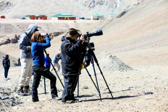 photographers taking pictures of snow leopards