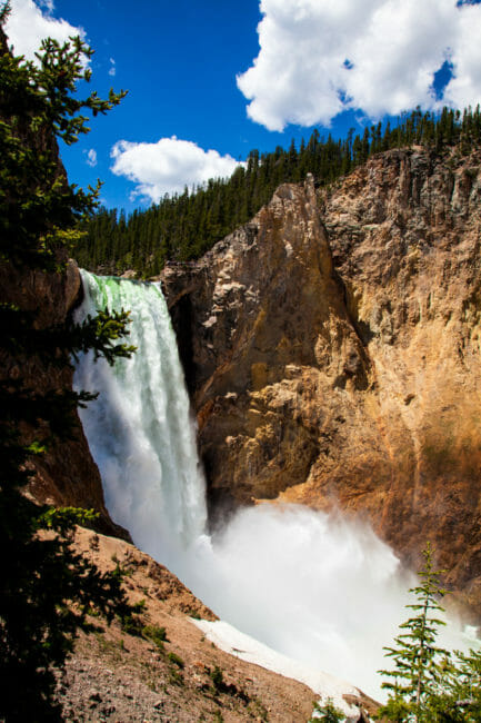 Lower Falls in Yellowstone National Park