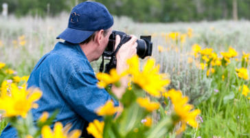 Photographing wildflowers in Grand Teton National Park.
