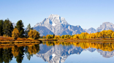Pictured Is Mount Moran And Fall Foliage Reflecting In Oxbow Bend Of The Snake River
