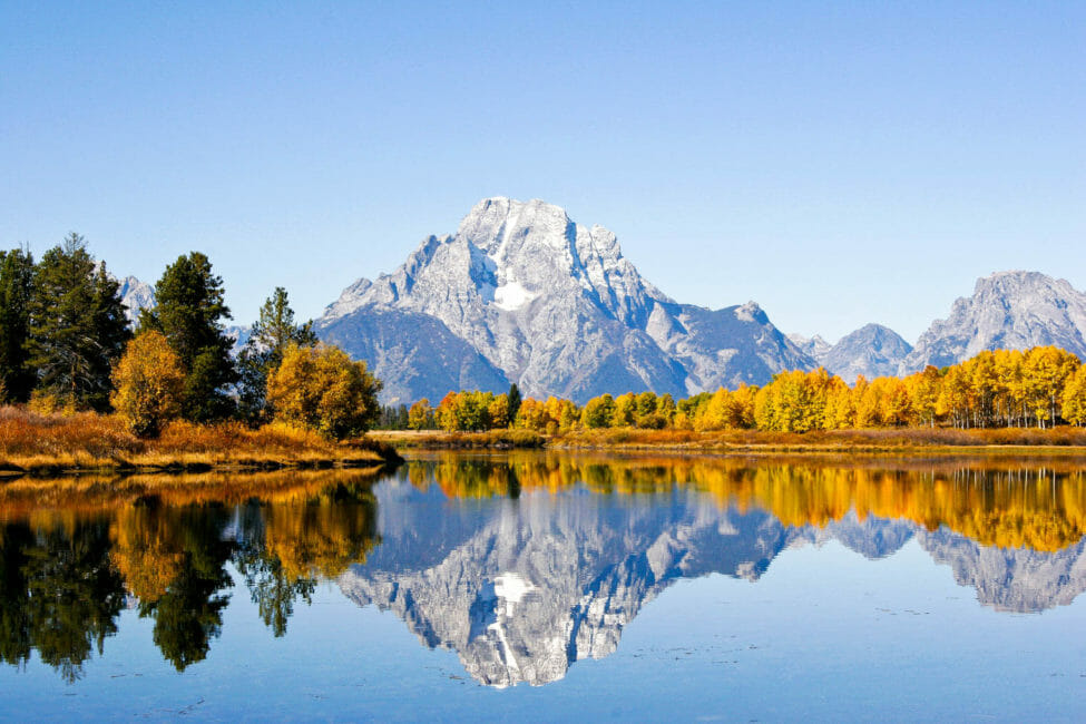 Pictured Is Mount Moran And Fall Foliage Reflecting In Oxbow Bend Of The Snake River