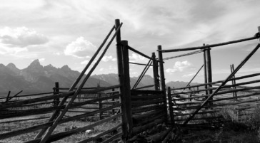 Historic Mormon Row in Grand Teton National Park.