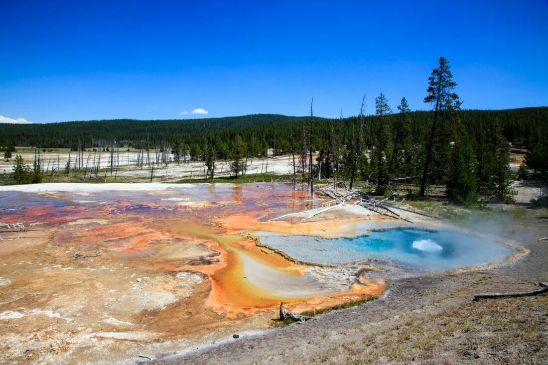 A Colorful, Thermal Hot Spring In Yellowstone National Park