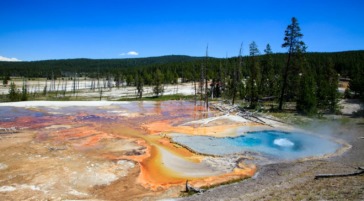 A Colorful, Thermal Hot Spring In Yellowstone National Park