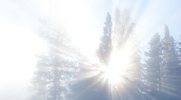 Steam from West thumb geyser basin in Yellowstone