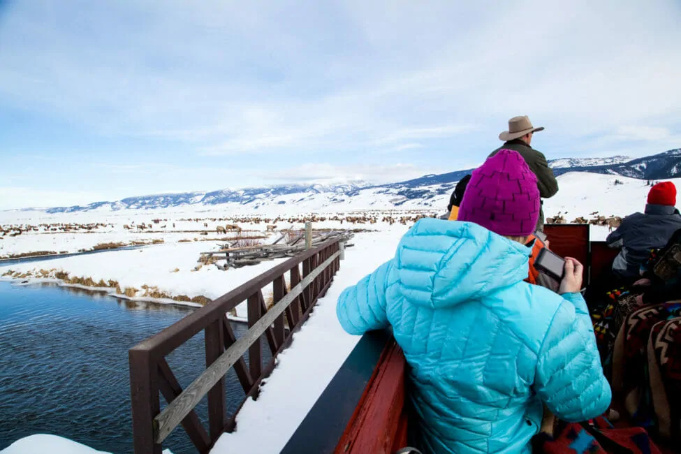 Horse drawn sleigh ride onto the National Elk Refuge