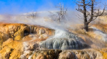 Mammoth Hotspring Yellowstone winter