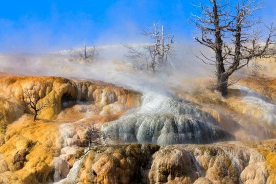 Mammoth Hotspring Yellowstone winter