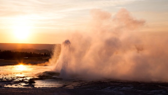Geyser erupting at sunset at the Lower Geyser Basin in Yellowstone National Park.