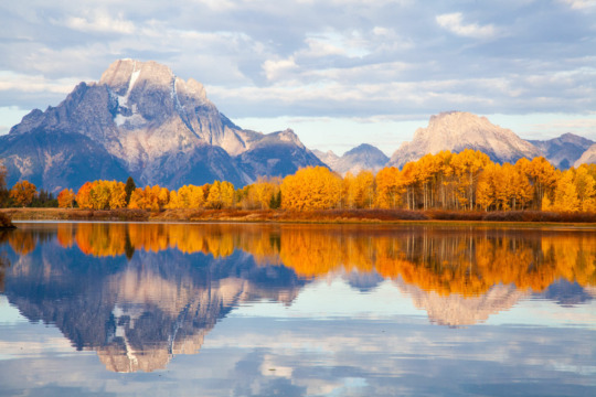 Fall colors at the Oxbow Bend of the Snake River in Grand Teton National Park.