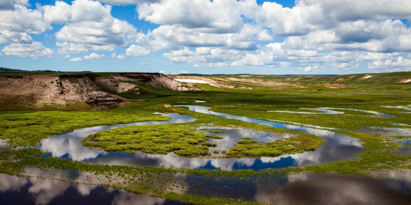 Yellowstone National Park's Hayden Valley In Spring Flood