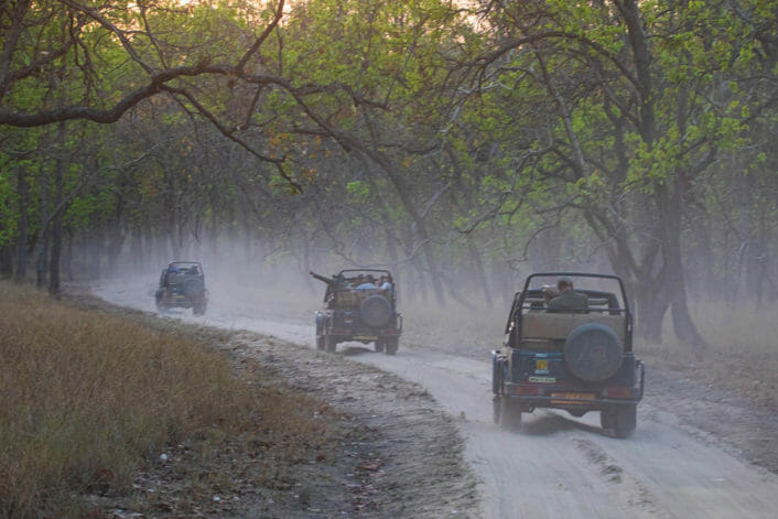 Safari Jeeps Make Their Way Through The Jungle In Madhya Pradesh