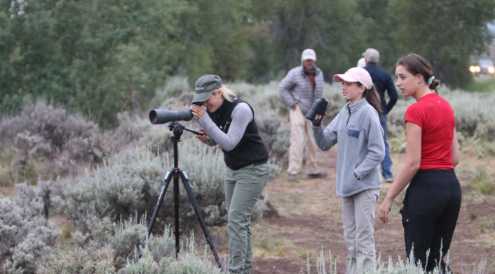 A Professional Guide Readies A Spotting Scope For Wildlife Viewing In The Field