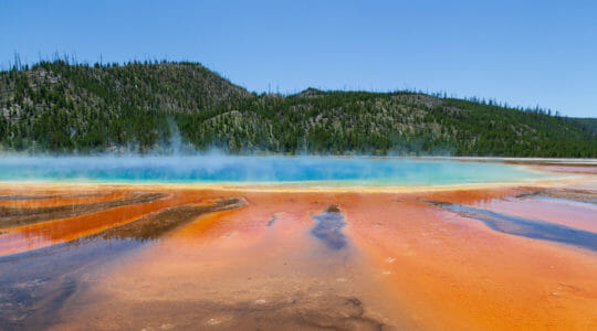 The Grand Prismatic Spring In Yellowstone National Park Shows A Rainbow Of Colored Algae