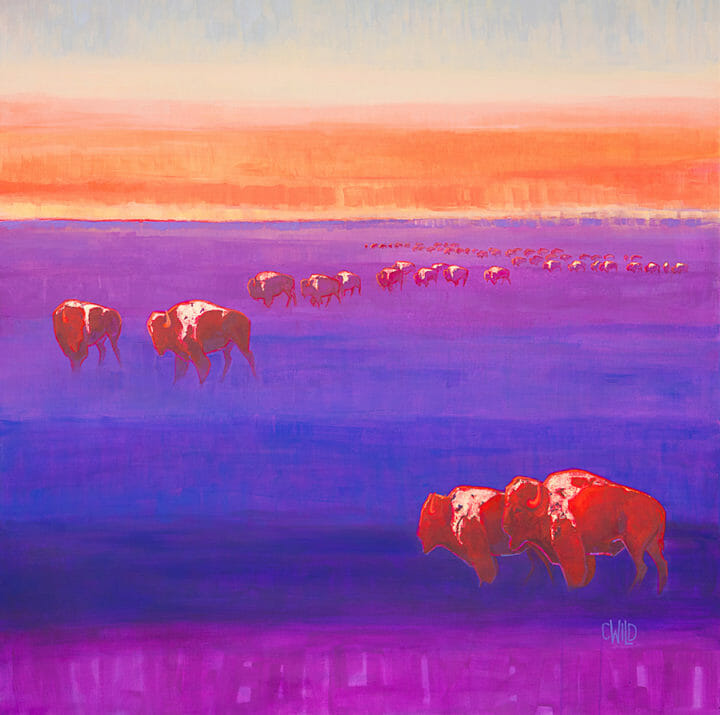 Contemporary Wildlife Art Featuring Bison And Western Landscape With Bold Colors And Gold Leaf Accents By Artist Carrie Wild at Gallery Wild