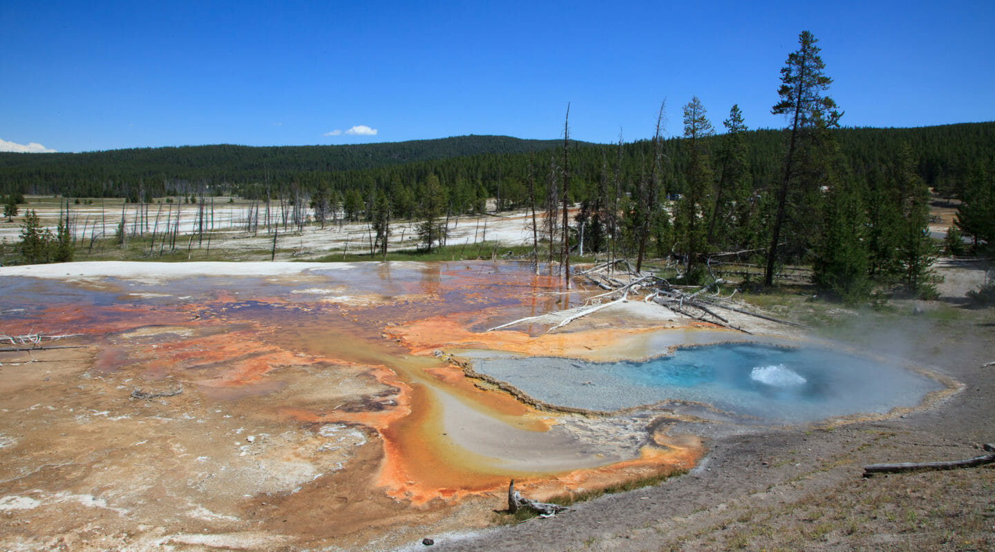 The Rainbow Of Colors Seen In The Geyser Basins Of Yellowstone National Park Are Caused By Bacteria And Thermophiles