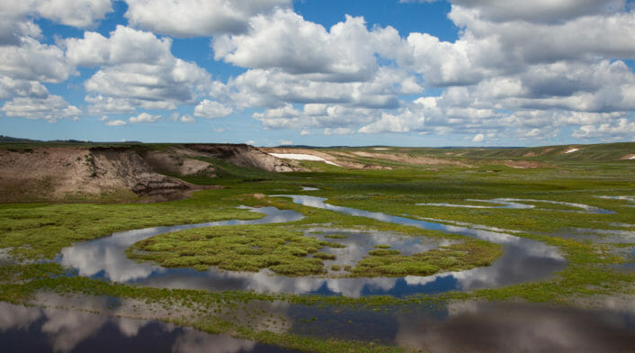 Water Returns To The Hayden Valley In Central Yellowstone In Early Summer, Creating A Vibrant Green Landscape