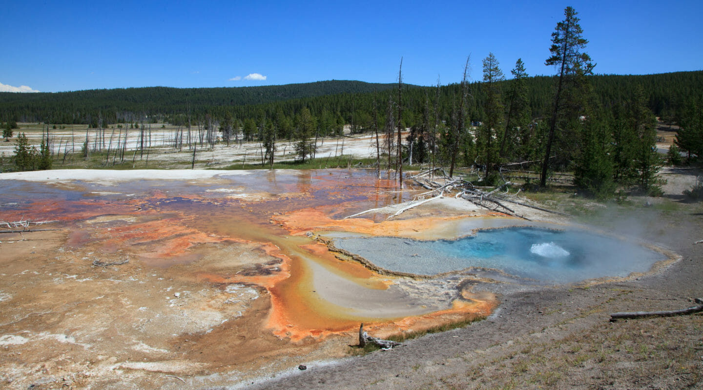 Brilliantly Colored Algae Can Be Seen In A Hot Spring In Yellowstone National Park